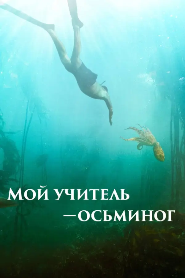 Мой учитель-осьминог