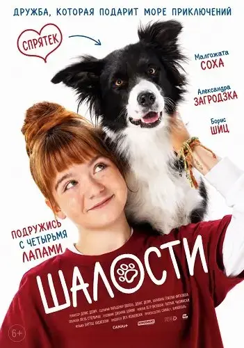 Шалости